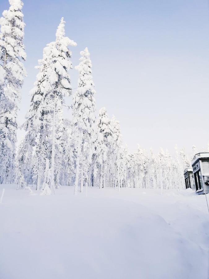 Levi Sky Igloo With Private Sauna And Hot Tub Екстер'єр фото