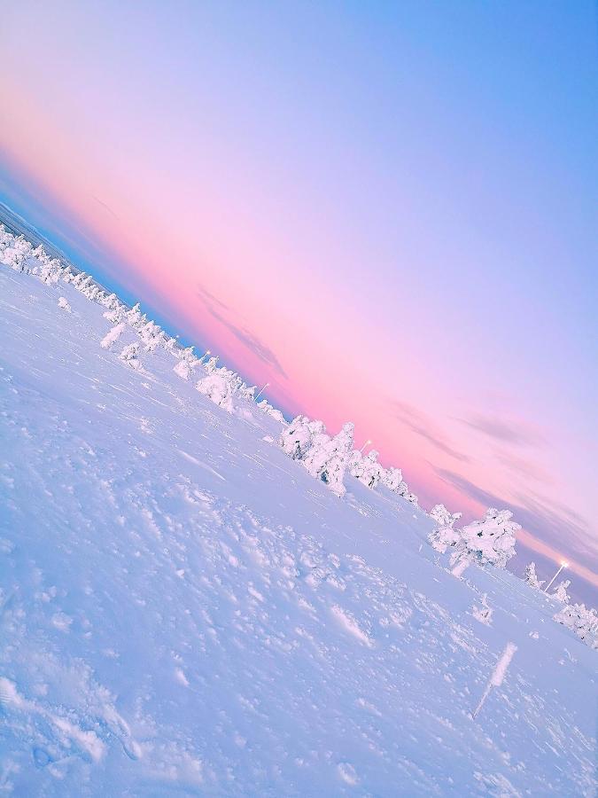 Levi Sky Igloo With Private Sauna And Hot Tub Екстер'єр фото
